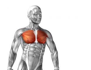 Как накачать низ грудных мышц: эффективные упражнения, примеры программ тренировок, советы опытных тренеров